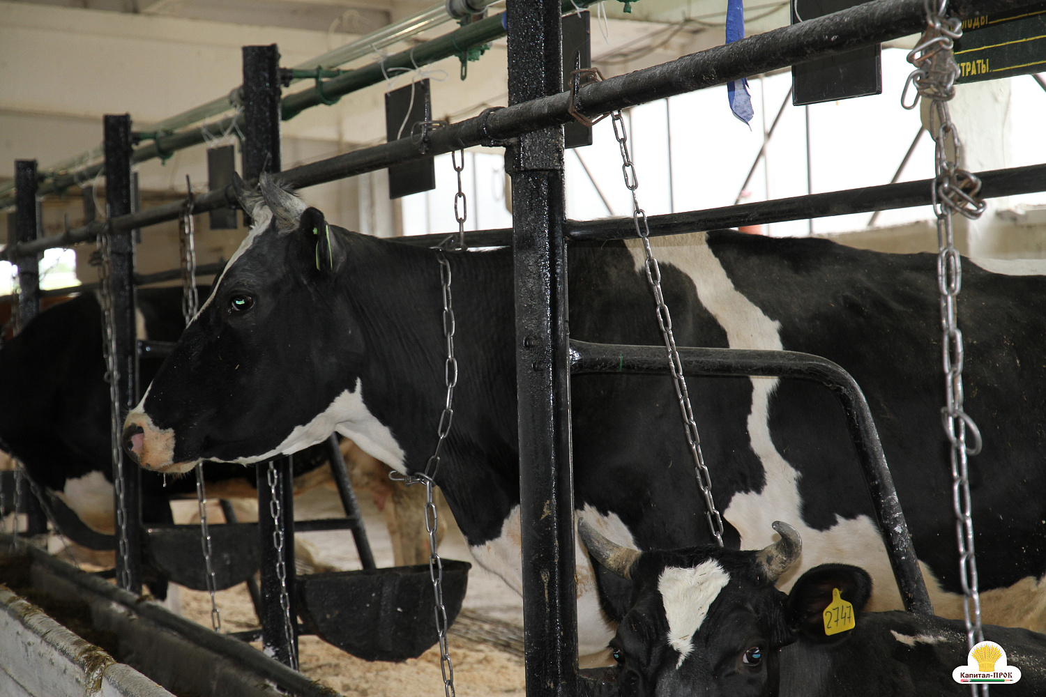 Капитал-ПРОК Страна стал спонсором профессионального конкурса