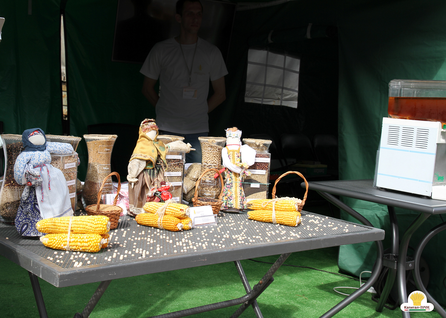 В Ивановской области завершился двенадцатый «День поля».