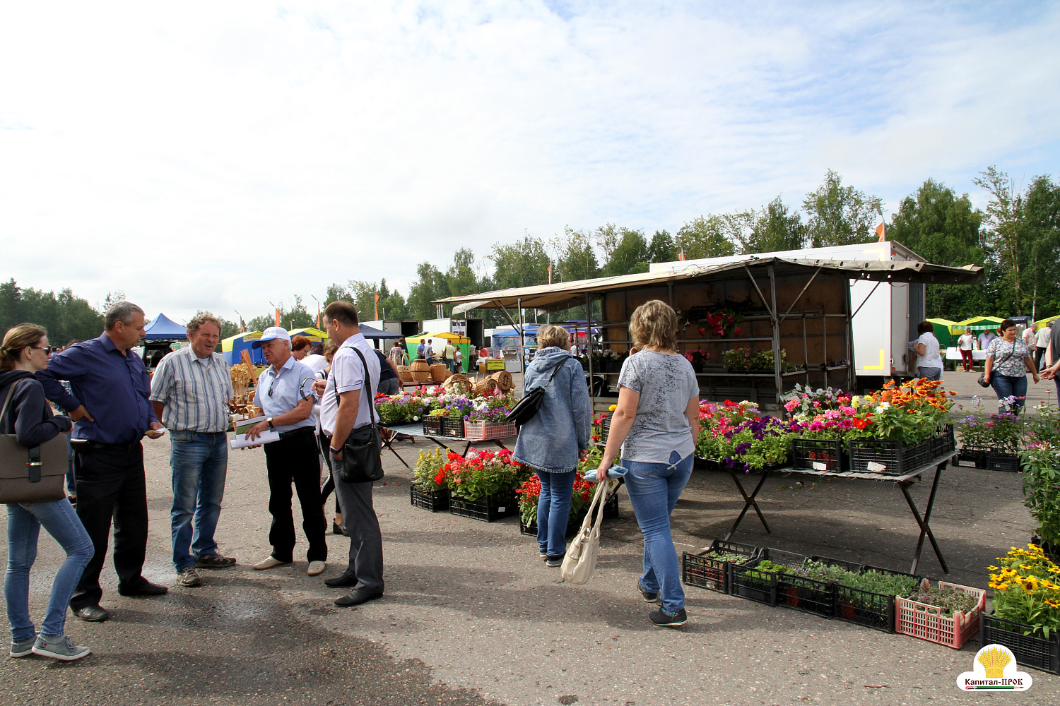 В Ивановской области завершился двенадцатый «День поля».