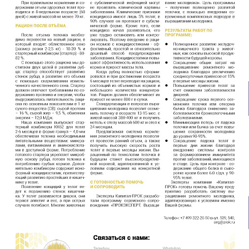 Здоровый молодняк: от плана к действию!