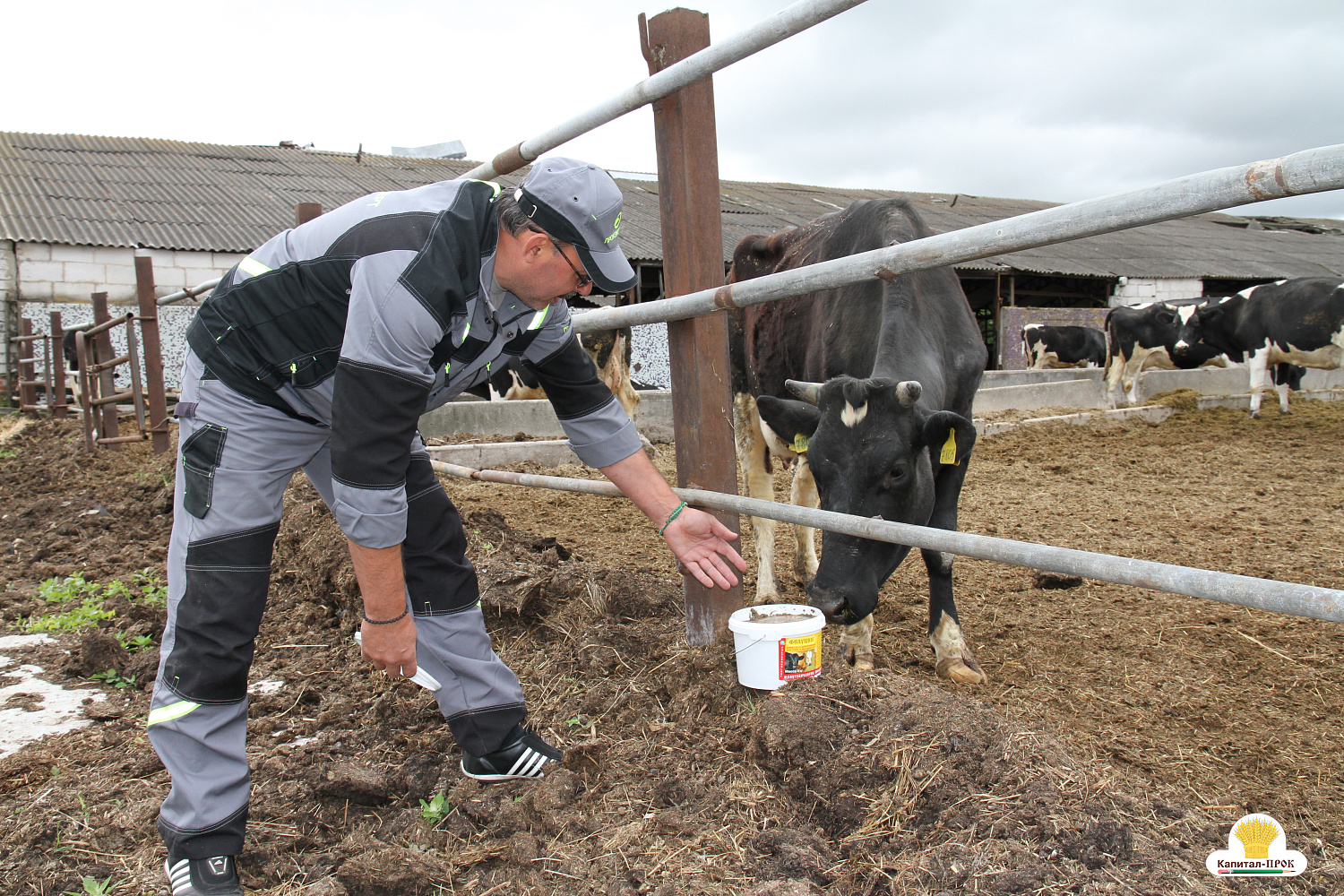 Капитал-ПРОК Страна стал спонсором профессионального конкурса