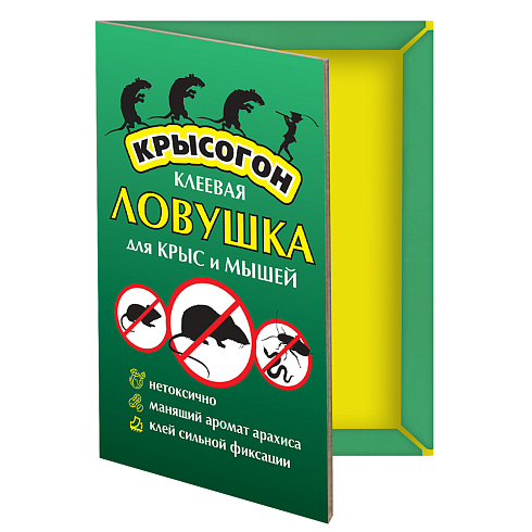 1007784 копия1008739
