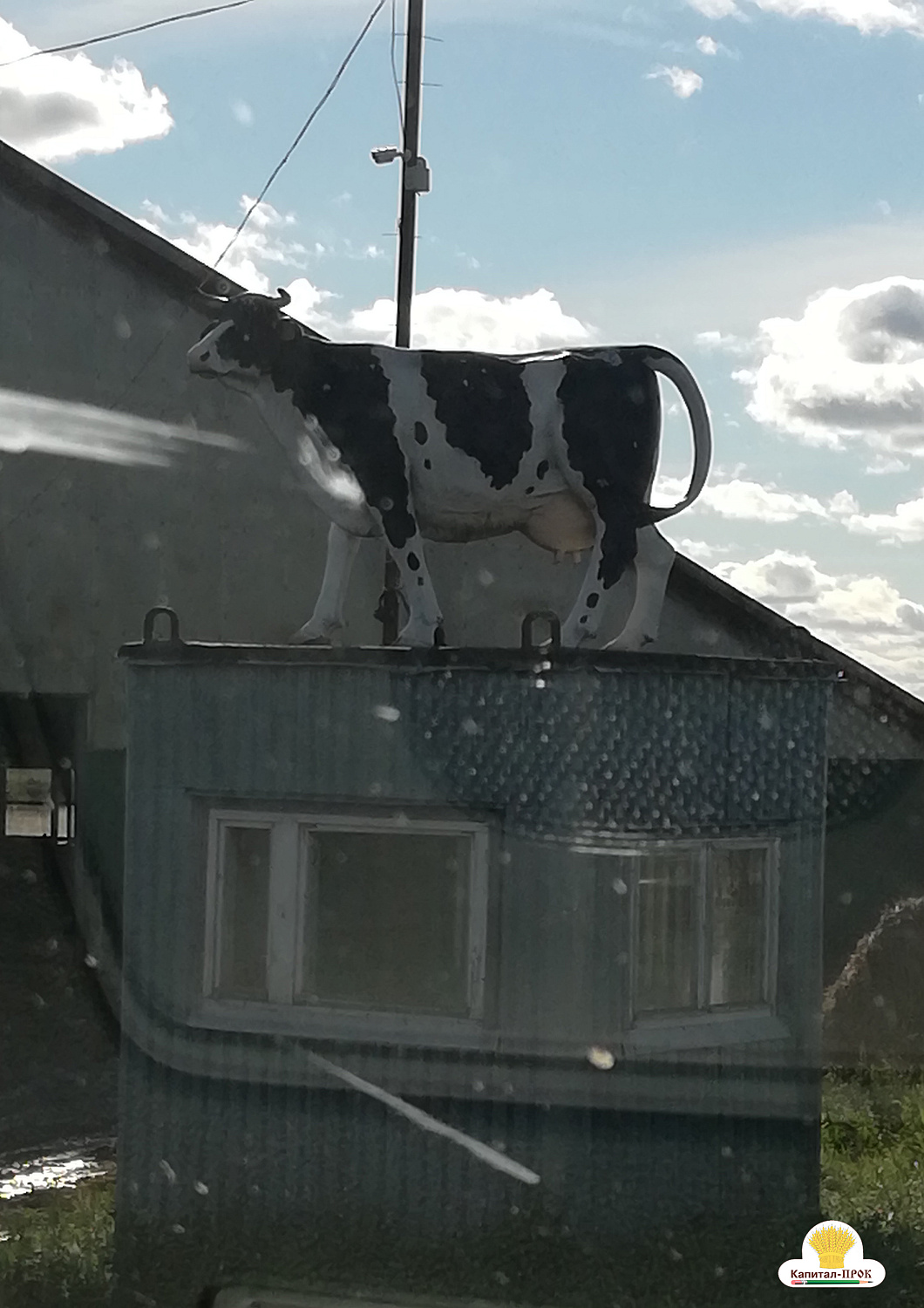 Компания Капитал-ПРОК посетила хозяйства Владимирской области