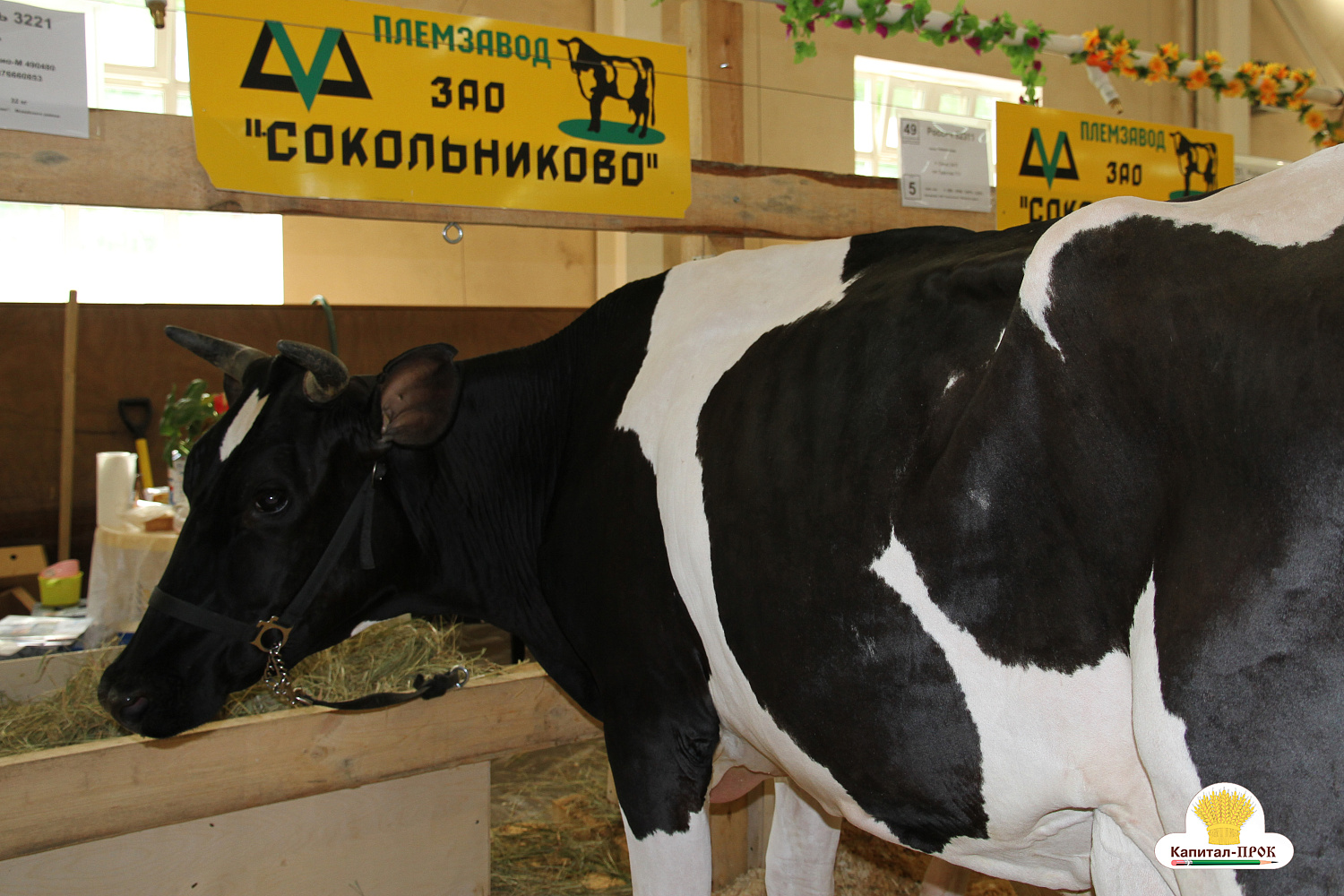 Компания Капитал-ПРОК удостоена почетной награды за большой вклад в развитие животноводства. 