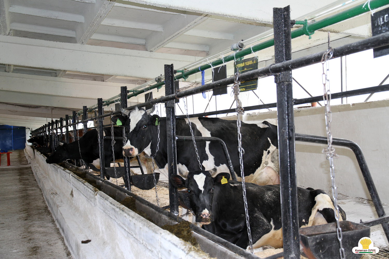 Капитал-ПРОК Страна стал спонсором профессионального конкурса