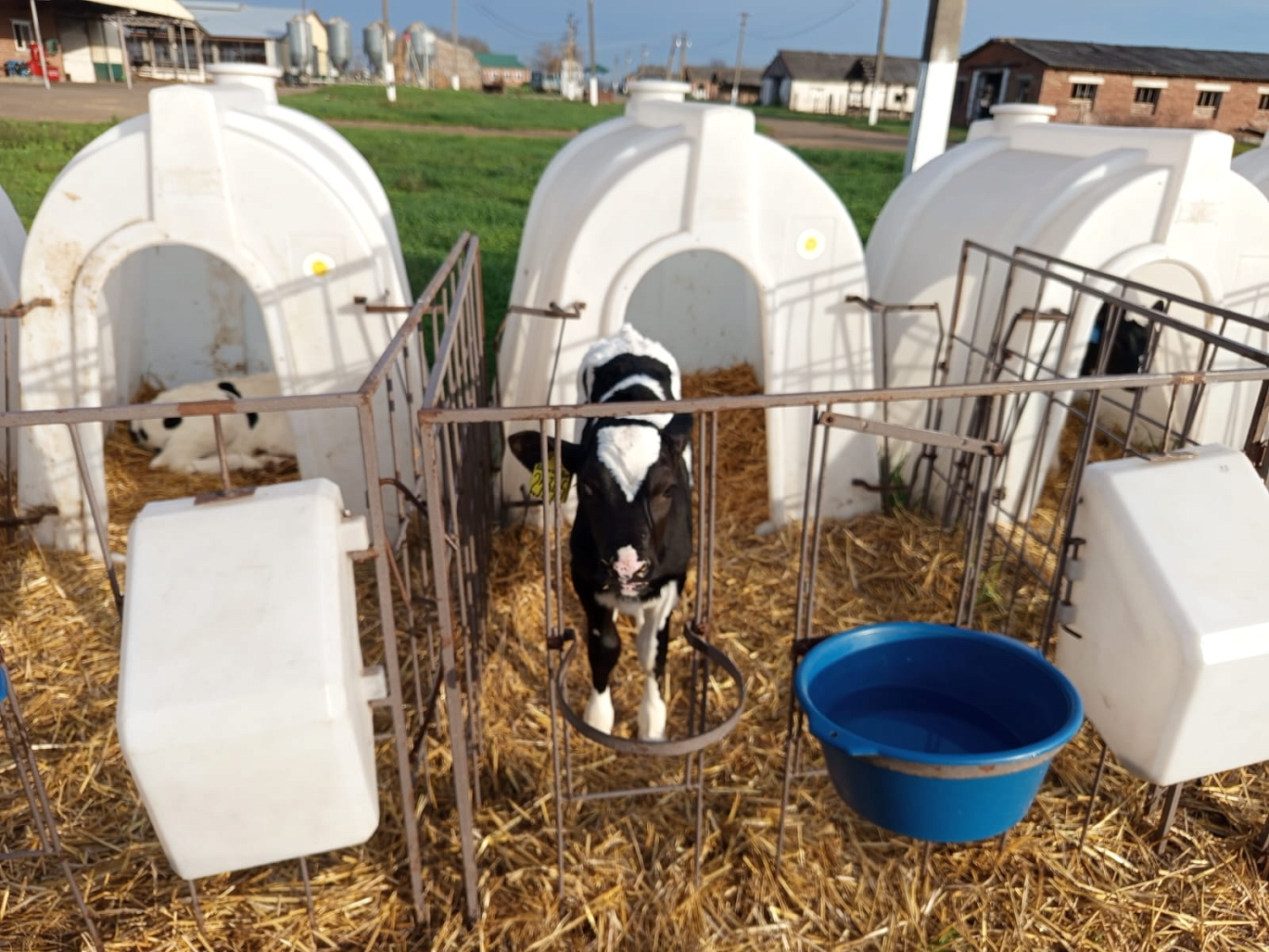 Эксперты Капитал-ПРОК в Краснодарском крае