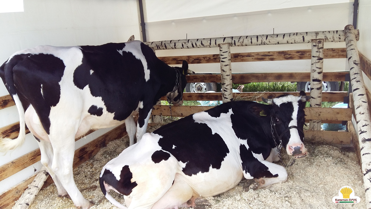 АГРОФЕСТ-2018