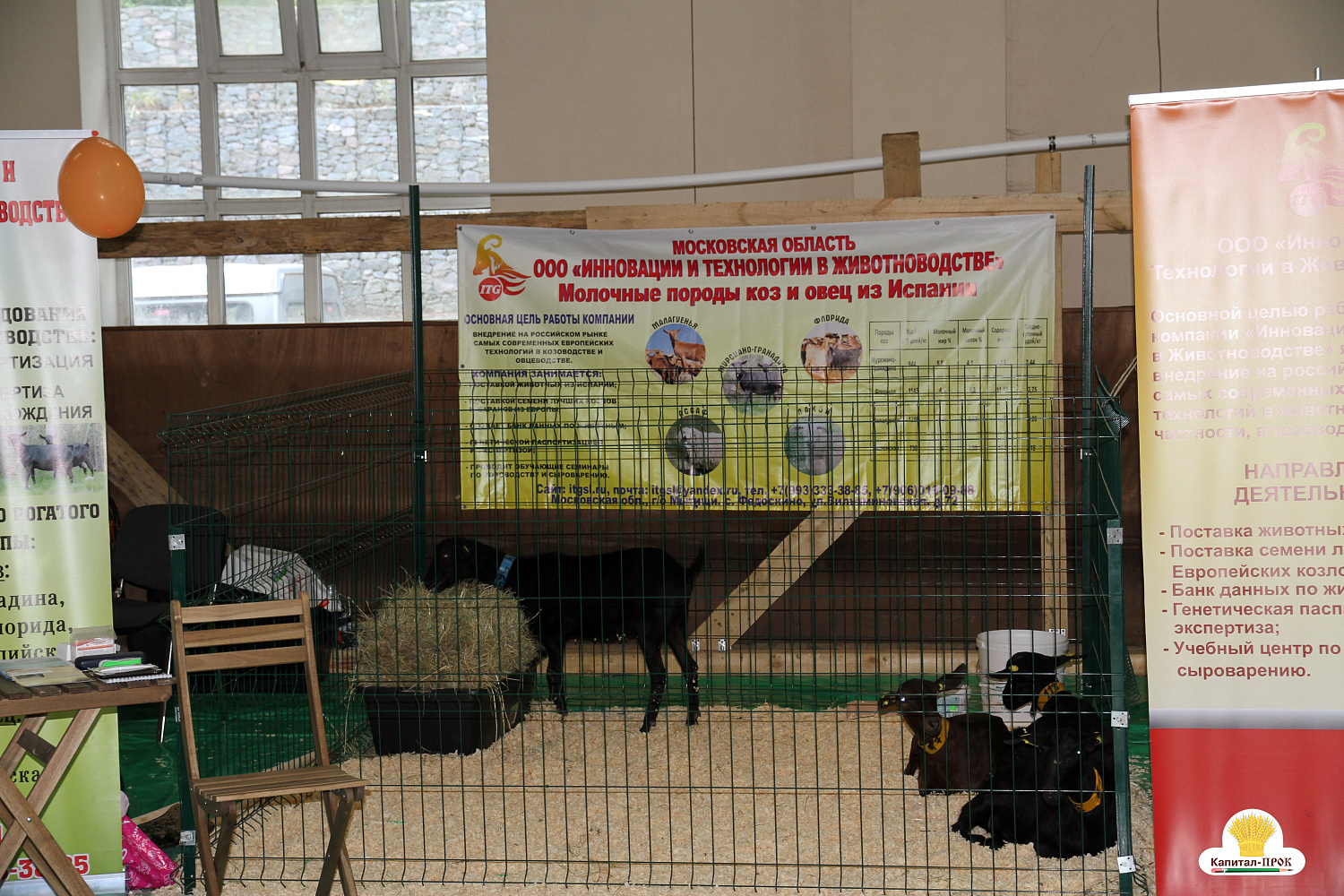 Компания Капитал-ПРОК удостоена почетной награды за большой вклад в развитие животноводства. 