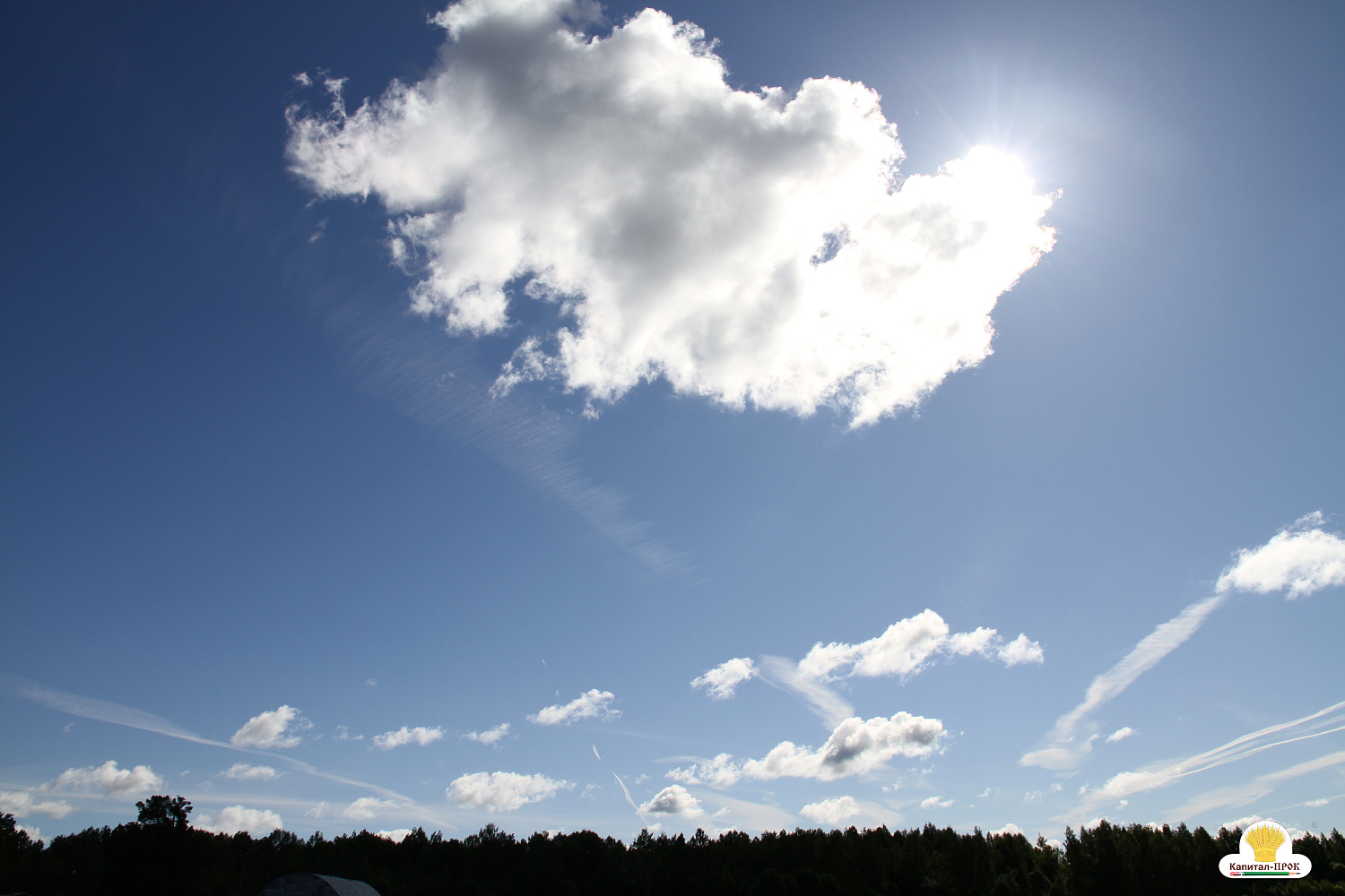 Компания Капитал-ПРОК Страна приняла участие в региональном фермерском празднике «День фермера». 