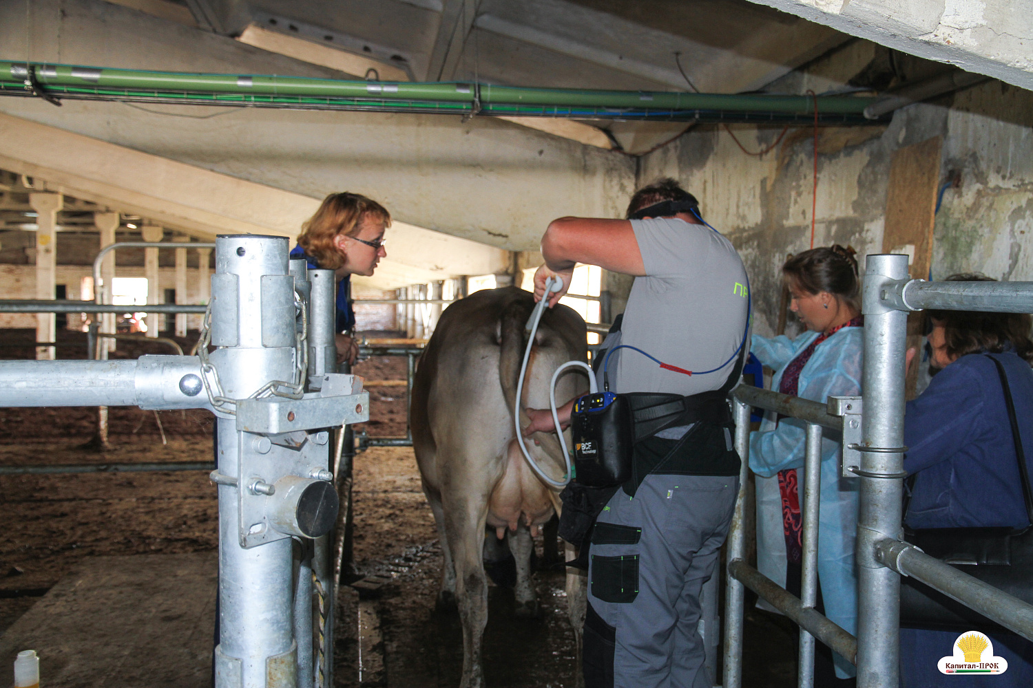 Межрегиональный форум 4К Смоленского молока
