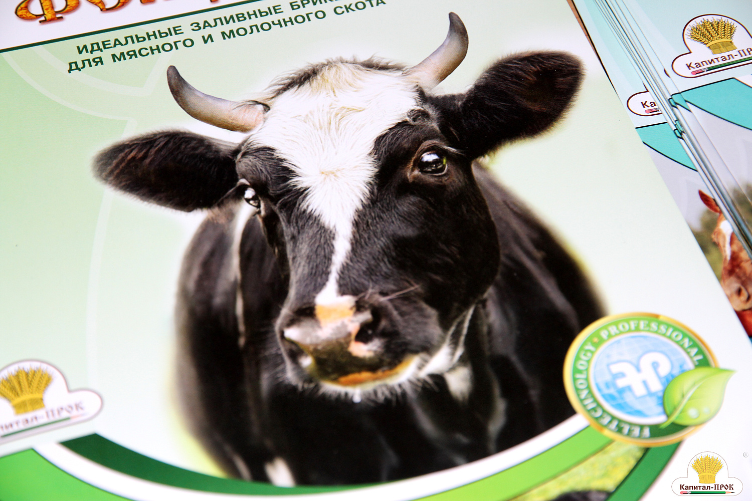 В Краснодаре состоялся профессиональный форум-совещание "Актуальные проблемы молочного животноводства".