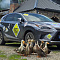 Капитал-ПРОК на международном автопробеге DairyRally Georgia 2026