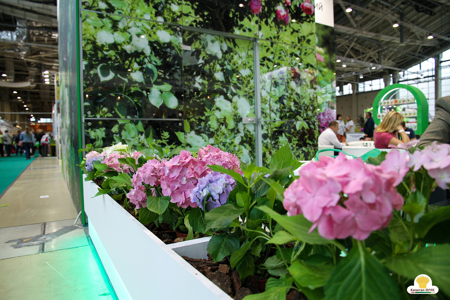 Компания Капитал-ПРОК приняла участие в XXV Международной выставке Цветы-2018