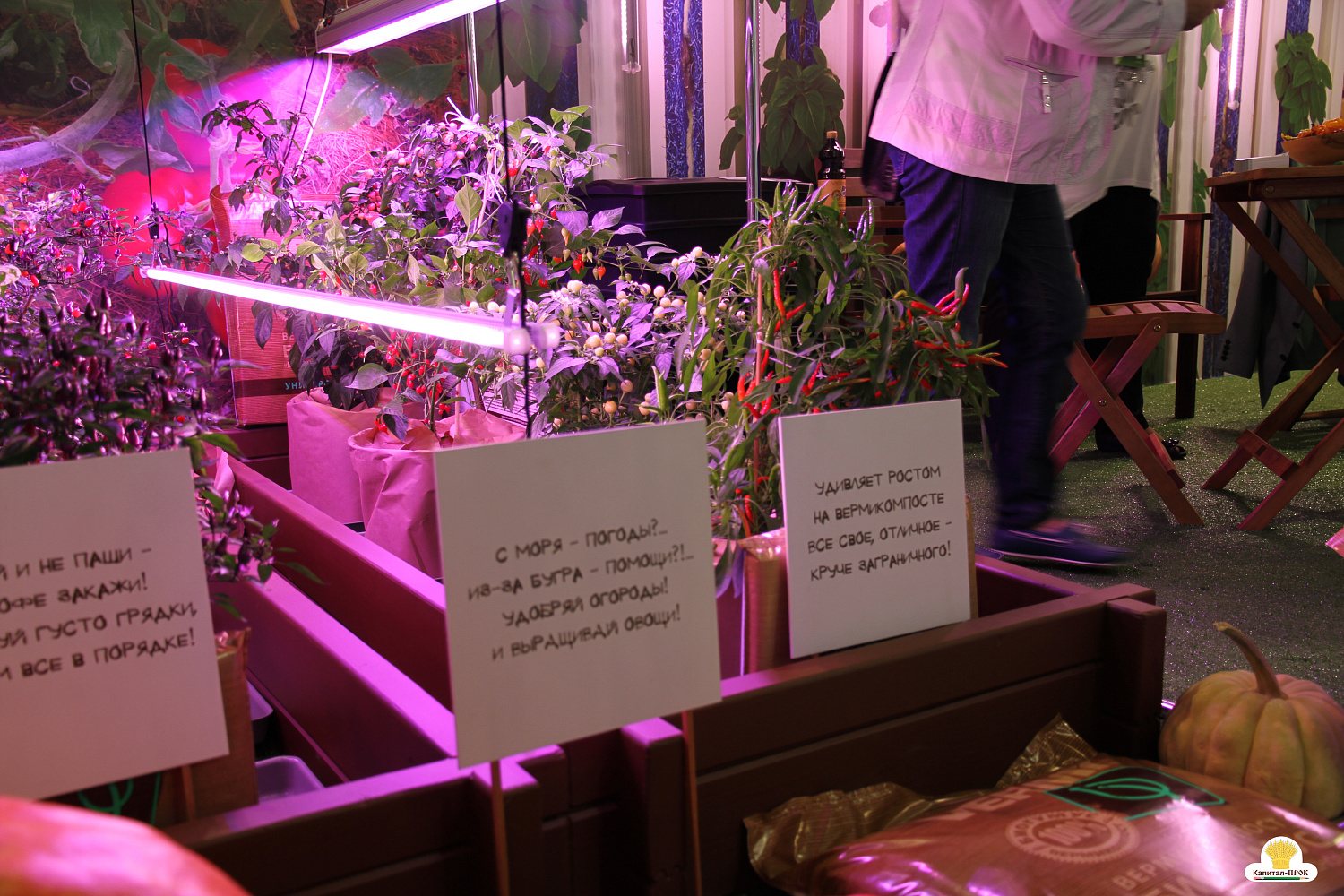 Компания Капитал-ПРОК приняла участие в XXV Международной выставке Цветы-2018