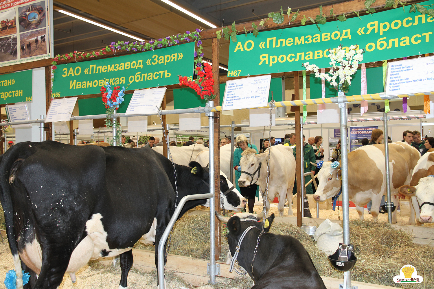 Капитал-ПРОК на главном аграрном форуме России "Золотая Осень-2018"