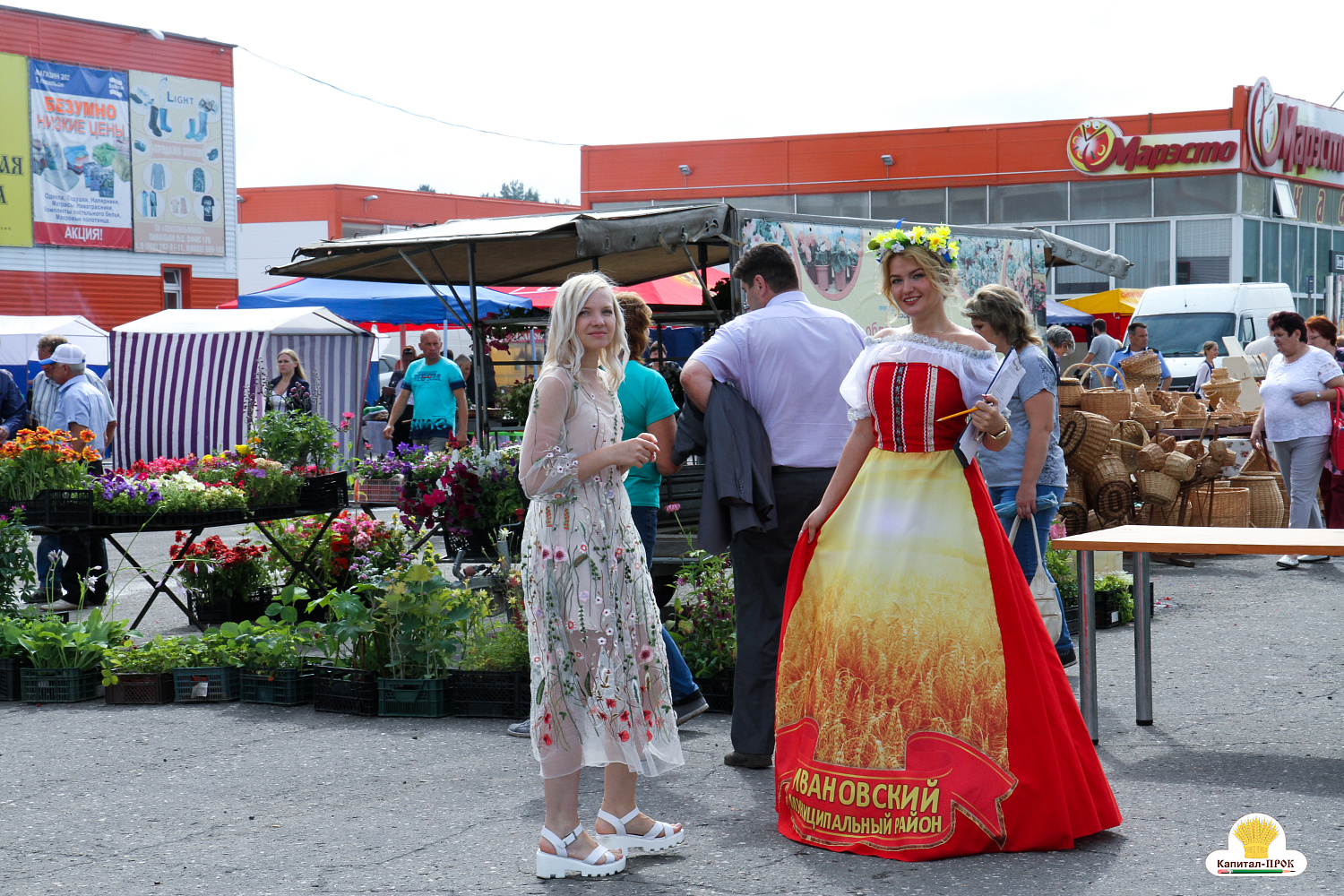 В Ивановской области завершился двенадцатый «День поля».