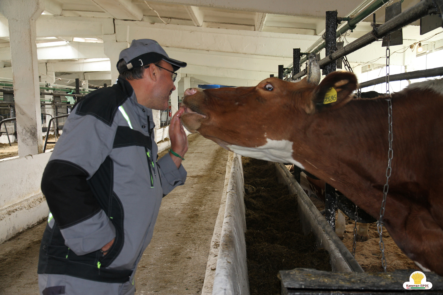 Капитал-ПРОК Страна стал спонсором профессионального конкурса