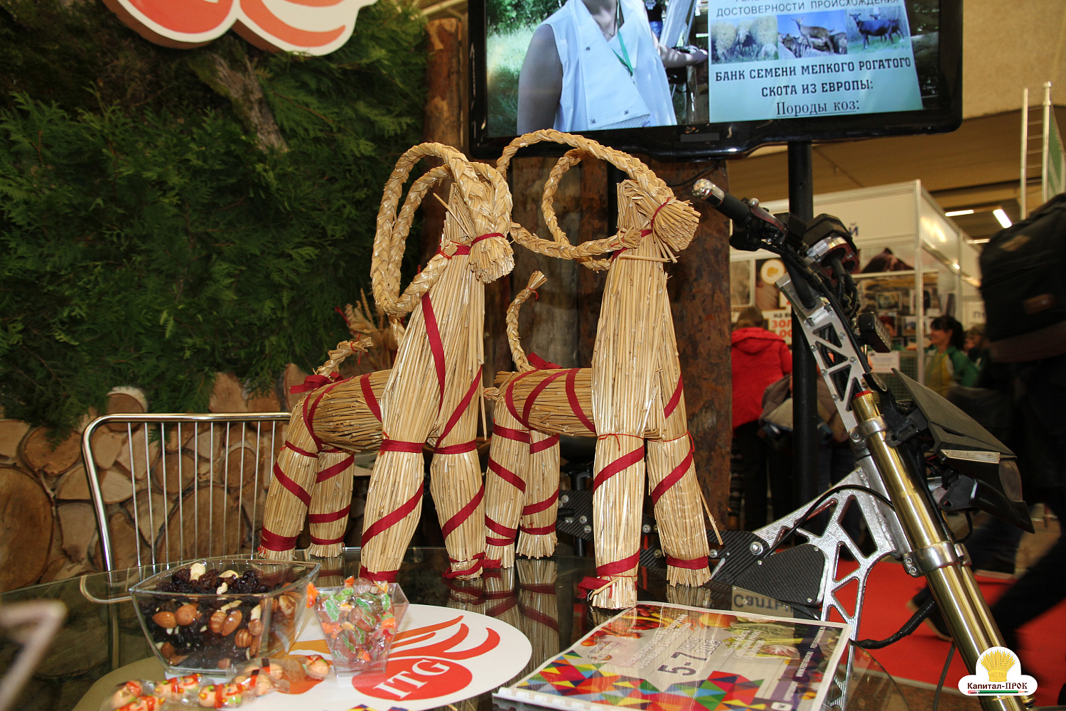 Капитал-ПРОК на главном аграрном форуме России "Золотая Осень-2018"