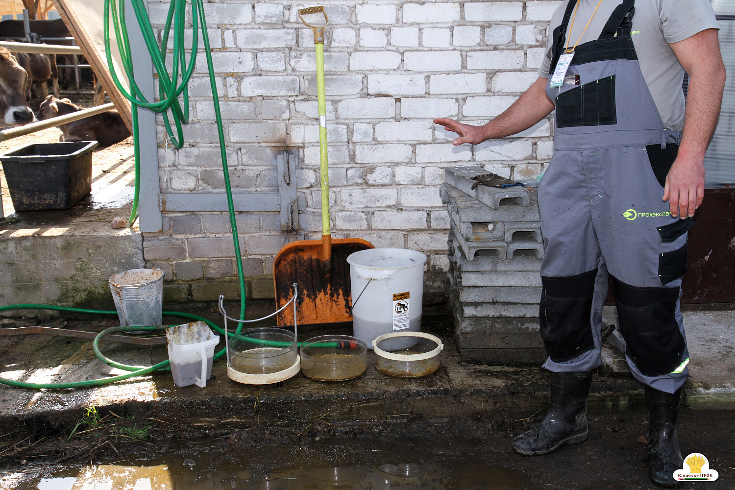 Межрегиональный форум 4К Смоленского молока