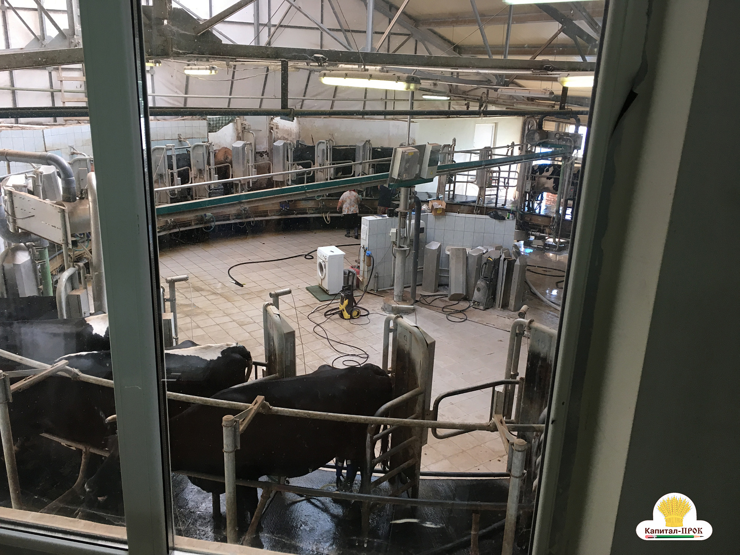 Капитал-ПРОК в помощь хозяйствам