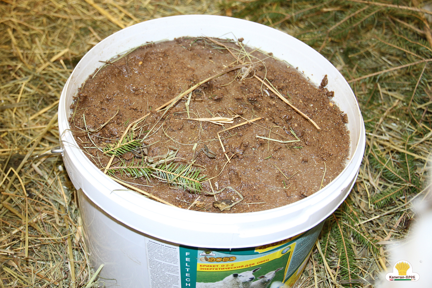 Капитал-ПРОК на главном аграрном форуме России "Золотая Осень-2018"