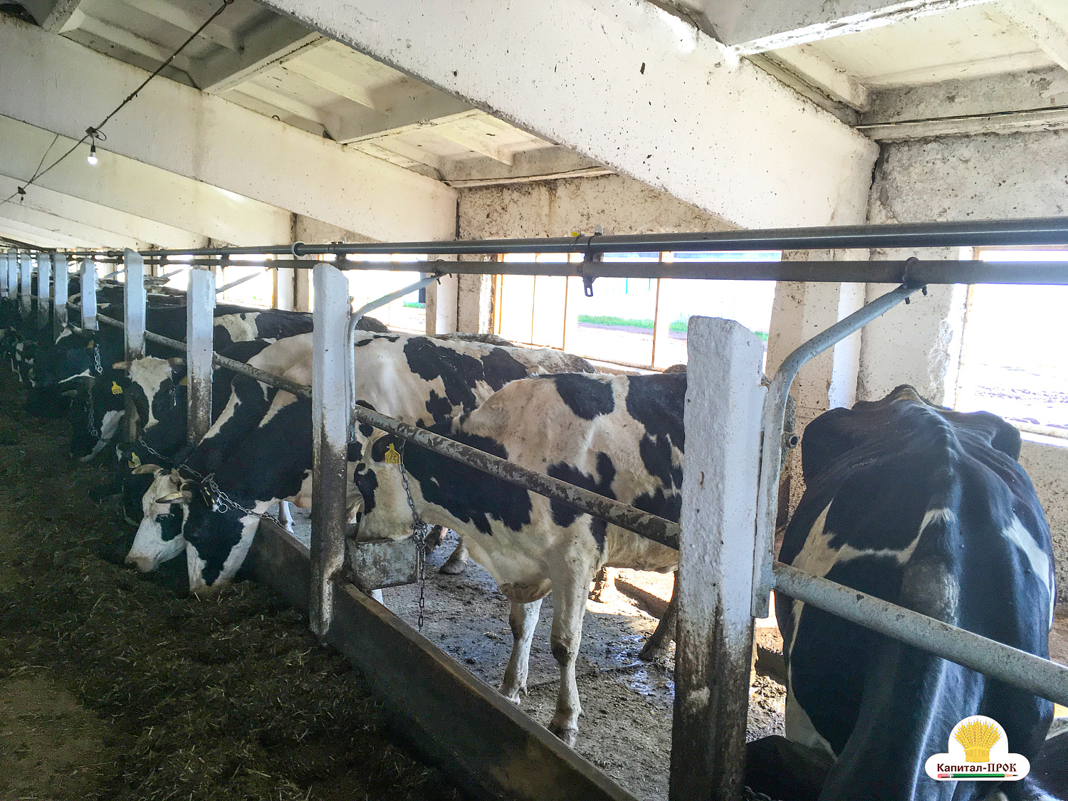 Капитал-ПРОК в помощь хозяйствам