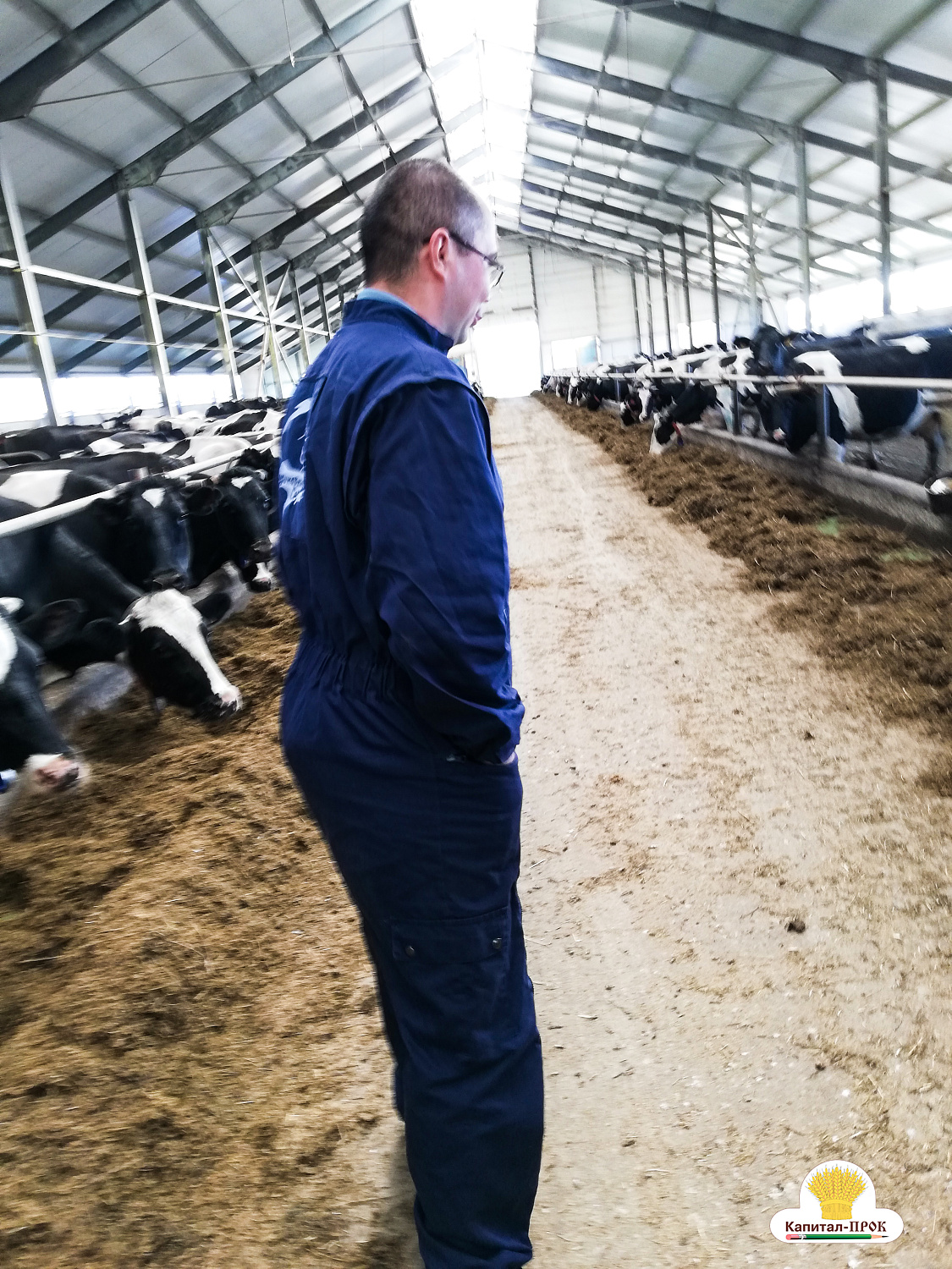 Компания Капитал-ПРОК посетила хозяйства Владимирской области