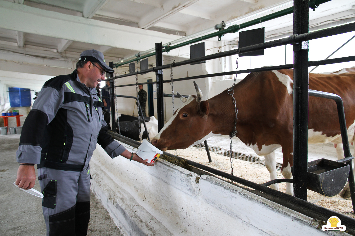 Капитал-ПРОК Страна стал спонсором профессионального конкурса