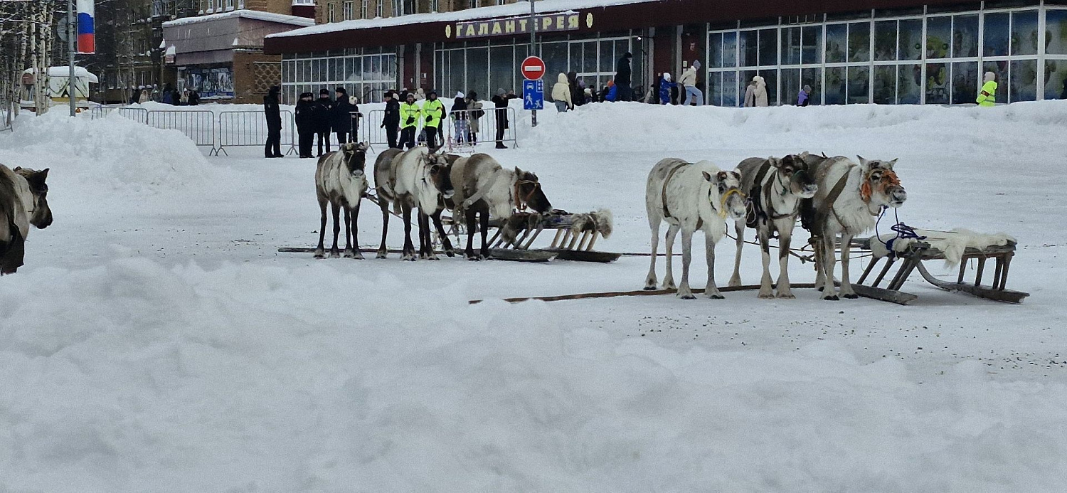 Специалисты «Капитал-ПРОК» обсудили развитие оленеводства в Республике Коми и представили решения для кормления животных