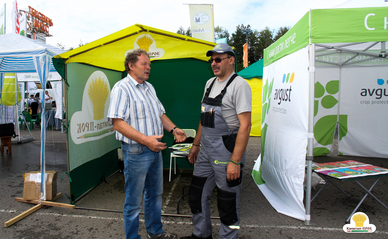 В Ивановской области завершился двенадцатый «День поля».