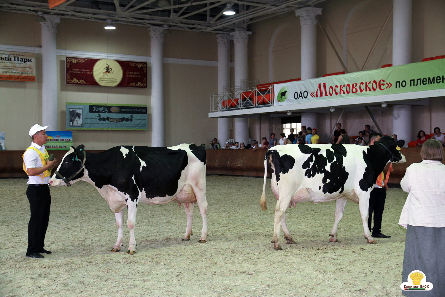 Компания Капитал-ПРОК удостоена почетной награды за большой вклад в развитие животноводства. 