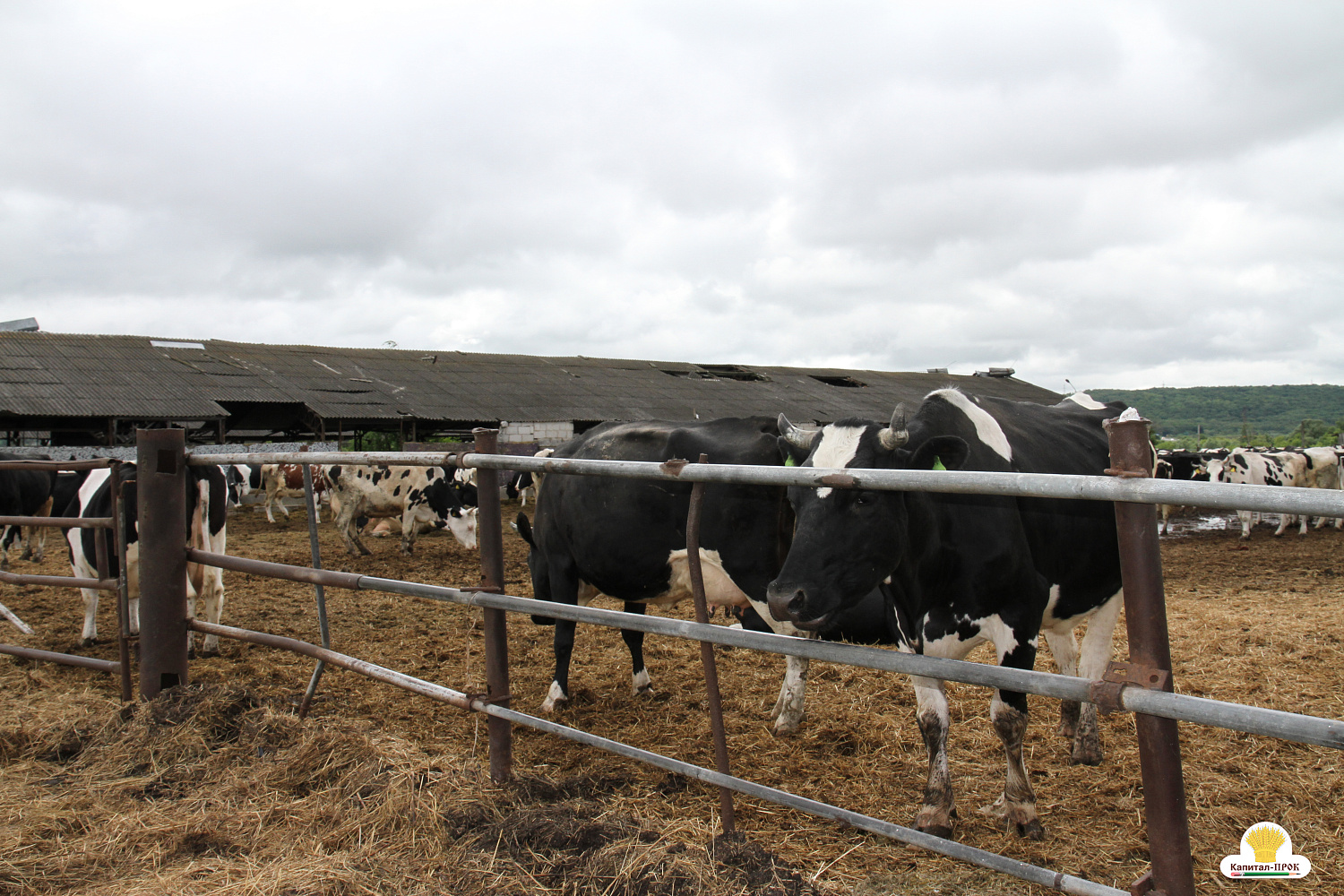 Капитал-ПРОК Страна стал спонсором профессионального конкурса